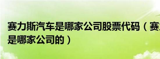 赛力斯汽车是哪家公司股票代码（赛力斯汽车是哪家公司的）