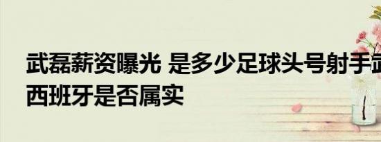 武磊薪资曝光 是多少足球头号射手武磊加盟西班牙是否属实