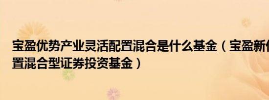 宝盈优势产业灵活配置混合是什么基金（宝盈新价值灵活配置混合型证券投资基金）