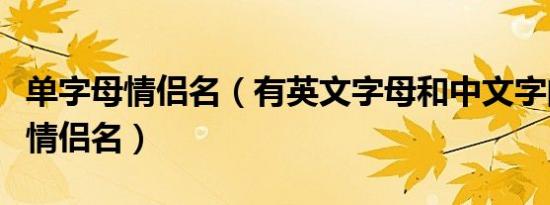 单字母情侣名（有英文字母和中文字的非主流情侣名）