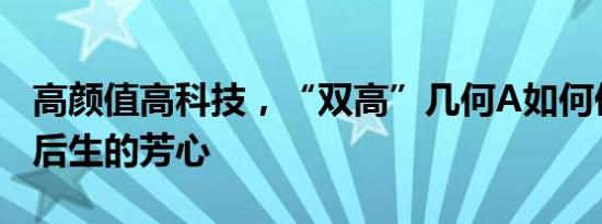 高颜值高科技，“双高”几何A如何俘获毕业后生的芳心