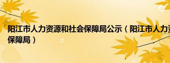 阳江市人力资源和社会保障局公示（阳江市人力资源和社会保障局）