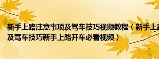 新手上路注意事项及驾车技巧视频教程（新手上路注意事项及驾车技巧新手上路开车必看视频）