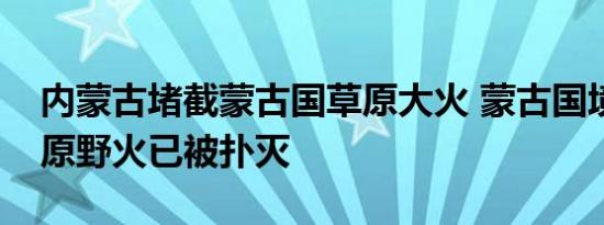 内蒙古堵截蒙古国草原大火 蒙古国境内的草原野火已被扑灭