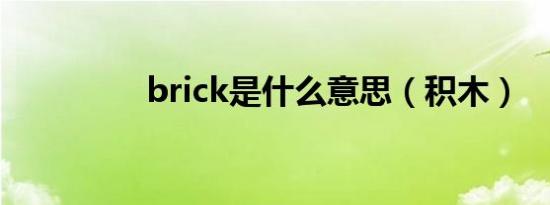 brick是什么意思（积木）