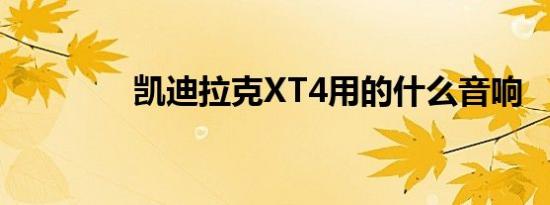 凯迪拉克XT4用的什么音响