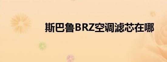 斯巴鲁BRZ空调滤芯在哪