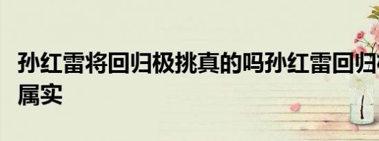 孙红雷将回归极挑真的吗孙红雷回归极挑消息属实