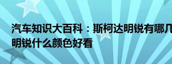 汽车知识大百科：斯柯达明锐有哪几种颜色 明锐什么颜色好看