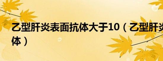 乙型肝炎表面抗体大于10（乙型肝炎表面抗体）