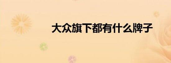 大众旗下都有什么牌子