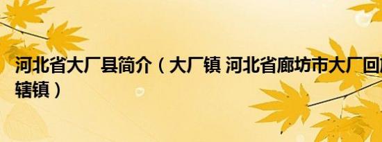 河北省大厂县简介（大厂镇 河北省廊坊市大厂回族自治县下辖镇）