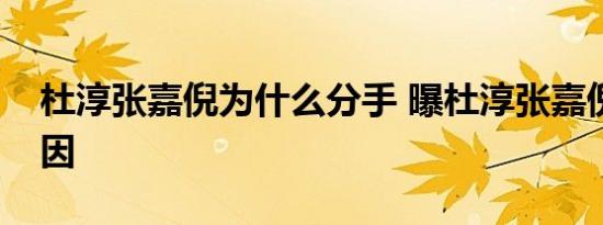 杜淳张嘉倪为什么分手 曝杜淳张嘉倪分手原因