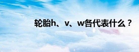 轮胎h、v、w各代表什么？