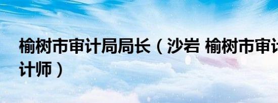 榆树市审计局局长（沙岩 榆树市审计局总审计师）