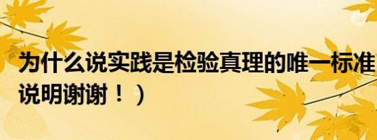 为什么说实践是检验真理的唯一标准（请举例说明谢谢！）