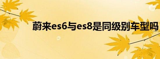 蔚来es6与es8是同级别车型吗