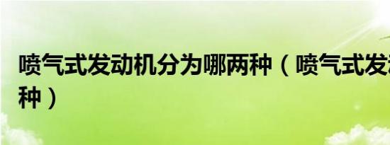 喷气式发动机分为哪两种（喷气式发动机有几种）