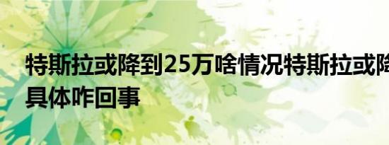 特斯拉或降到25万啥情况特斯拉或降到25万具体咋回事