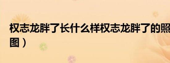 权志龙胖了长什么样权志龙胖了的照片怎样（图）