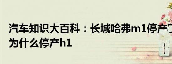 汽车知识大百科：长城哈弗m1停产了吗 长城为什么停产h1