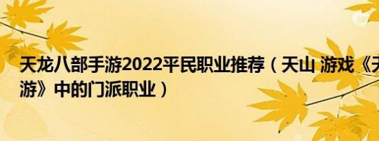 天龙八部手游2022平民职业推荐（天山 游戏《天龙八部手游》中的门派职业）