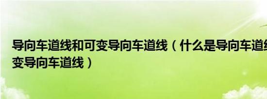 导向车道线和可变导向车道线（什么是导向车道线什么是可变导向车道线）