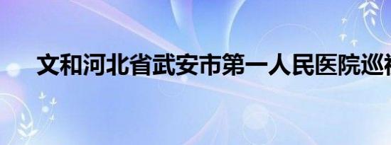 文和河北省武安市第一人民医院巡视员