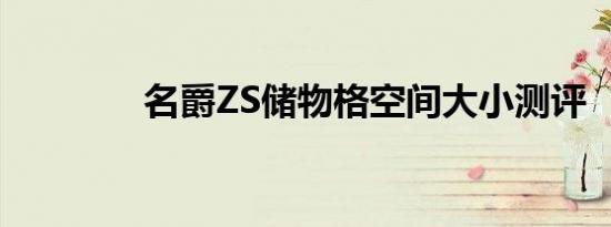 名爵ZS储物格空间大小测评