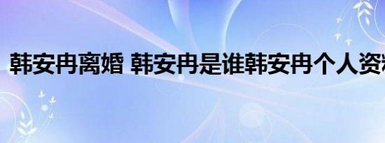 韩安冉离婚 韩安冉是谁韩安冉个人资料简介