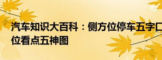 汽车知识大百科：侧方位停车五字口诀 侧方位看点五神图