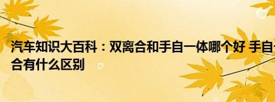 汽车知识大百科：双离合和手自一体哪个好 手自一体和双离合有什么区别