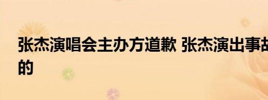 张杰演唱会主办方道歉 张杰演出事故是怎样的