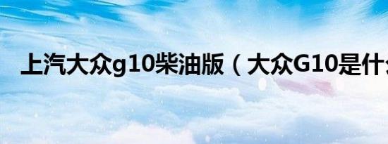 上汽大众g10柴油版（大众G10是什么车）