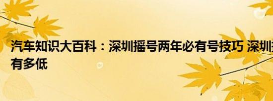 汽车知识大百科：深圳摇号两年必有号技巧 深圳摇号中签率有多低