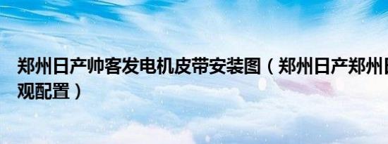 郑州日产帅客发电机皮带安装图（郑州日产郑州日产帅客外观配置）