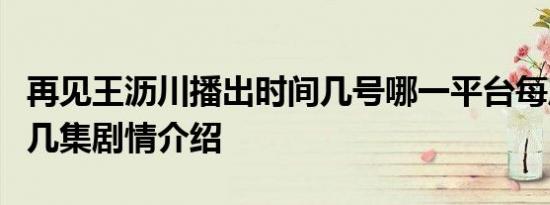 再见王沥川播出时间几号哪一平台每周几播出几集剧情介绍