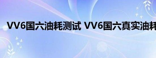 VV6国六油耗测试 VV6国六真实油耗多少 