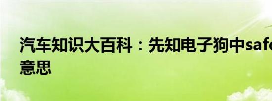 汽车知识大百科：先知电子狗中safd是什么意思