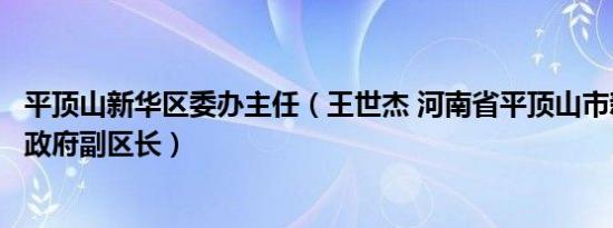 平顶山新华区委办主任（王世杰 河南省平顶山市新华区人民政府副区长）