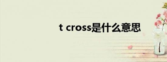 t cross是什么意思