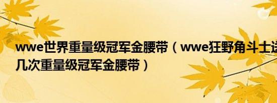 wwe世界重量级冠军金腰带（wwe狂野角斗士送葬者获得几次重量级冠军金腰带）