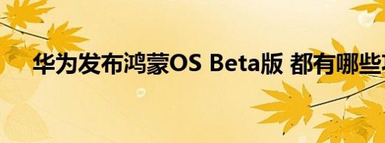 华为发布鸿蒙OS Beta版 都有哪些功能