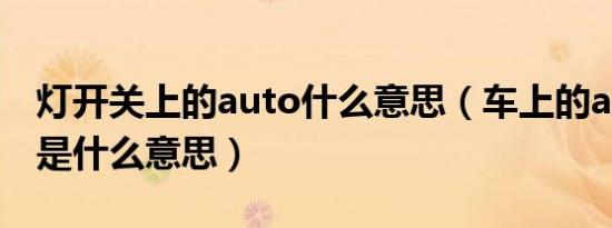 灯开关上的auto什么意思（车上的auto开关是什么意思）