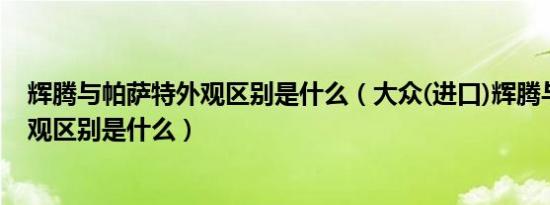 辉腾与帕萨特外观区别是什么（大众(进口)辉腾与帕萨特外观区别是什么）