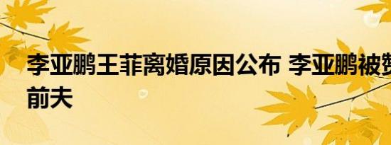 李亚鹏王菲离婚原因公布 李亚鹏被赞中国好前夫