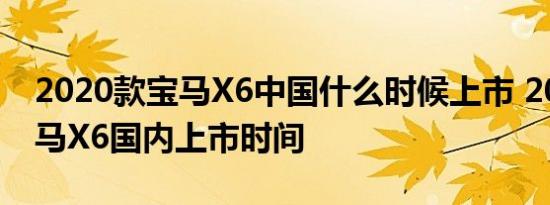 2020款宝马X6中国什么时候上市 2020款宝马X6国内上市时间