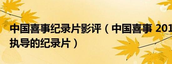 中国喜事纪录片影评（中国喜事 2019年林颖执导的纪录片）