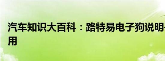 汽车知识大百科：路特易电子狗说明书如何使用