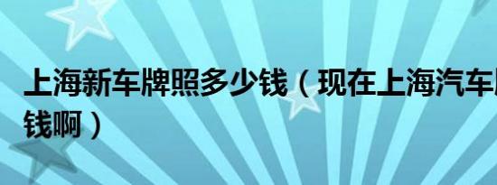 上海新车牌照多少钱（现在上海汽车牌照多少钱啊）